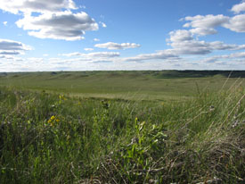 Photo by Nature Saskatchewan.