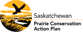 Saskatchewan Prairie Conservation Action Plan
